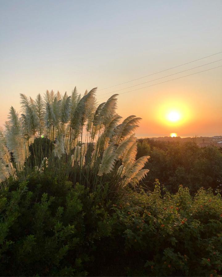 Amaremare B&B Stintino Bagian luar foto